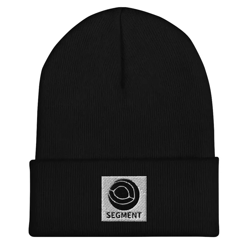 Classic Core Segment Logo Beanie